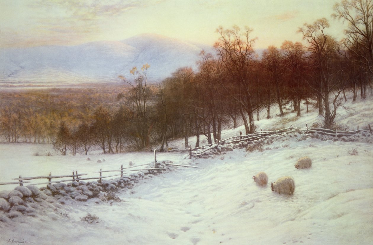 Hóval borított mezők juhokkal alkotó: Joseph Farquharson
