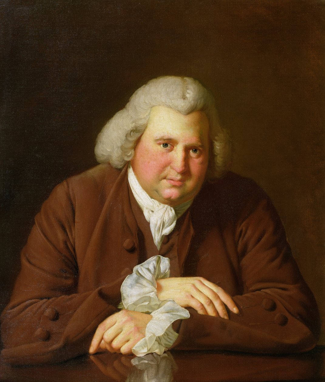 Dr. Erasmus Darwin (1731-1802) tudós, feltaláló és költő, Charles Darwin nagyapja portréja, 1770 körül alkotó: Joseph Wright of Derby