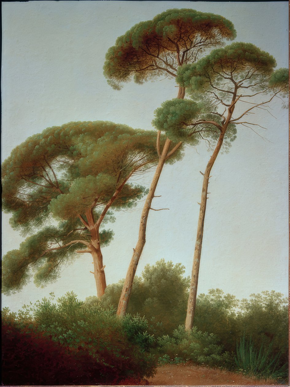 fenyőfák alkotó: Joseph August Knip