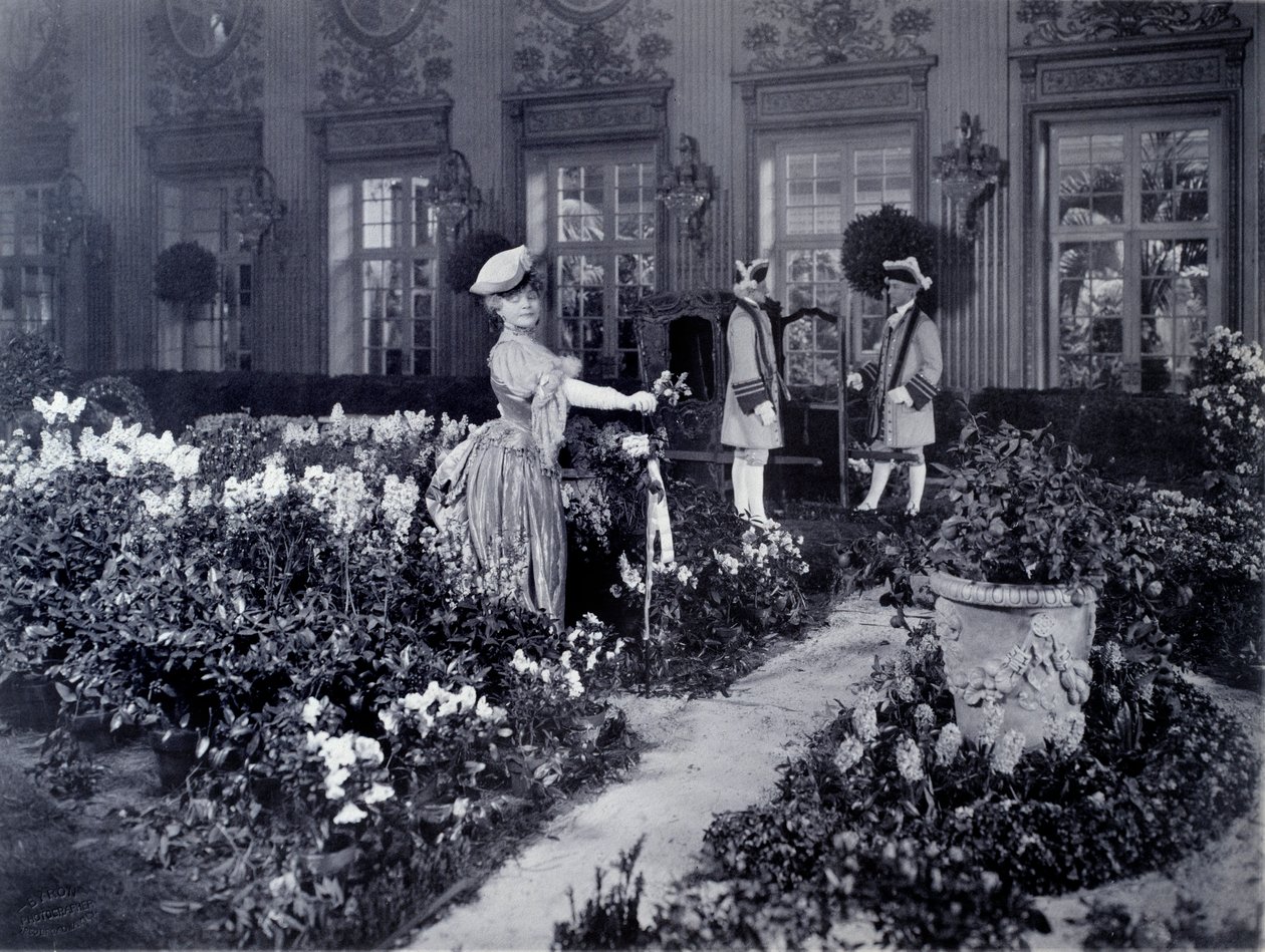 Rejane (Gabrielle Charlotte Reyu, stb.) (1856-1920), francia komikus, aki egy széken érkezik, hogy báli jelmezt viseljen New Yorkban 1905-ben alkotó: Joseph Byron