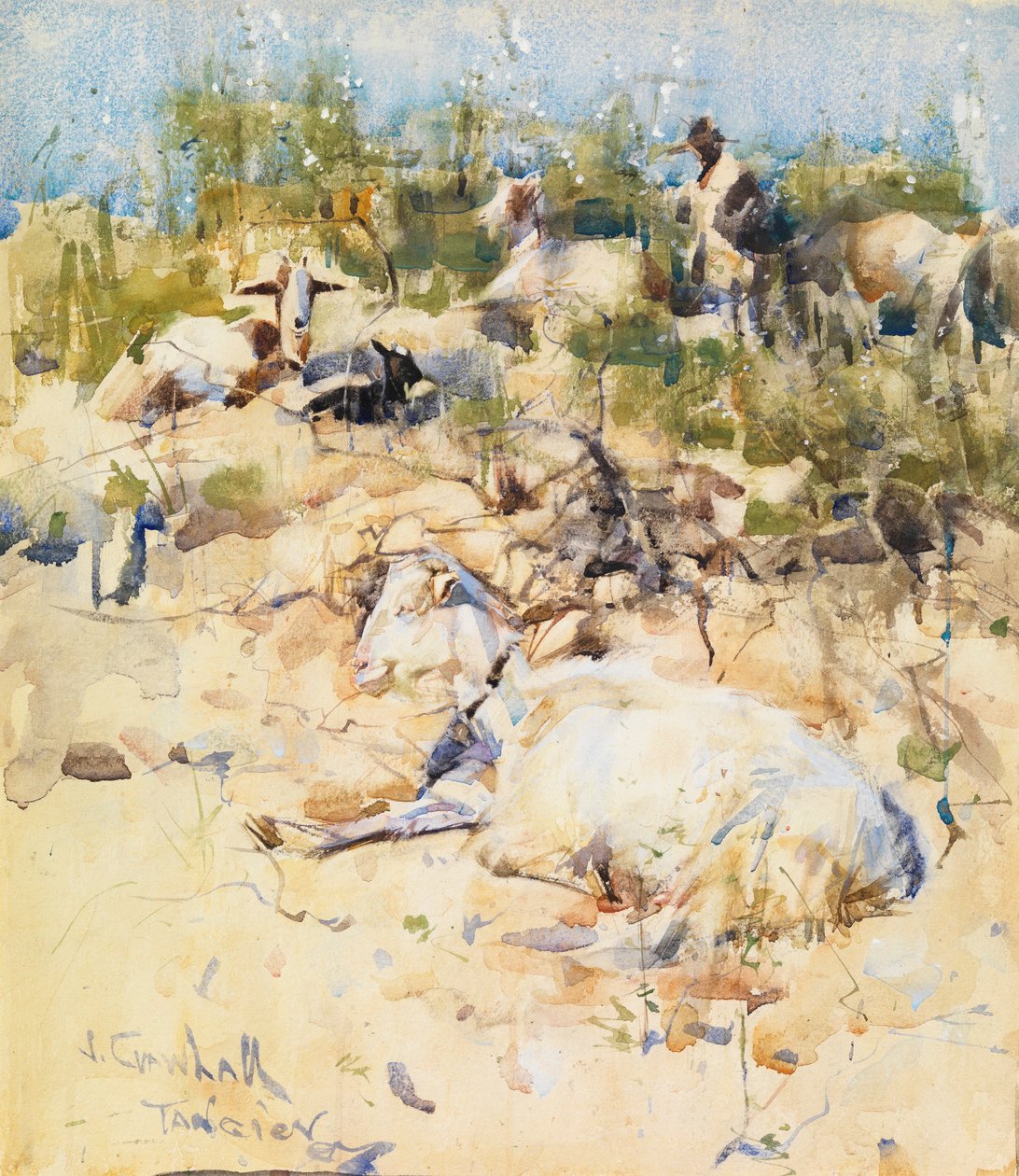 Kecske a domboldalon, Tanger (akvarell gouache árnyalatokkal papíron) alkotó: Joseph Crawhall