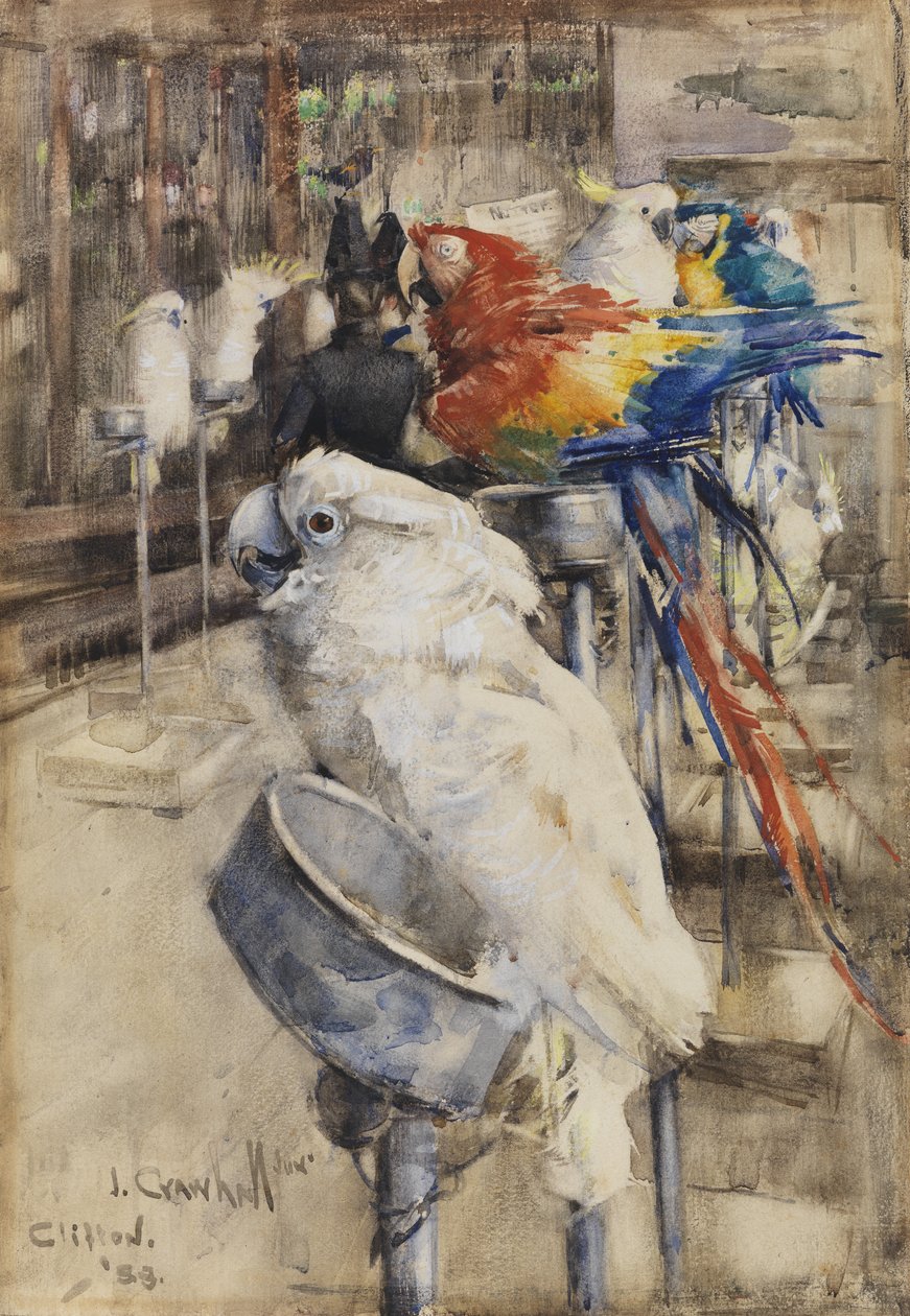 A madárház, Clifton alkotó: Joseph Crawhall