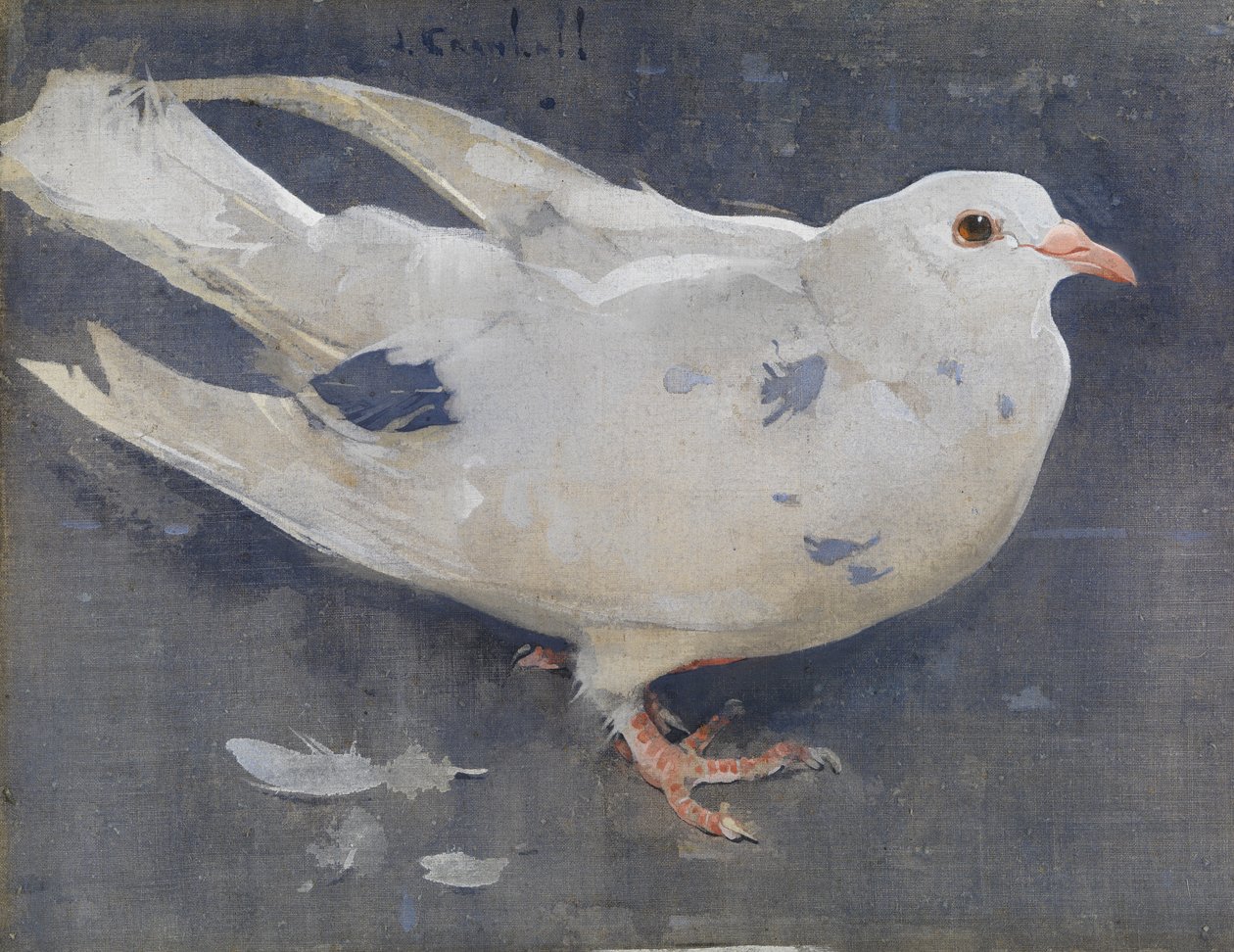 Galamb (gouache lenvászon) alkotó: Joseph Crawhall