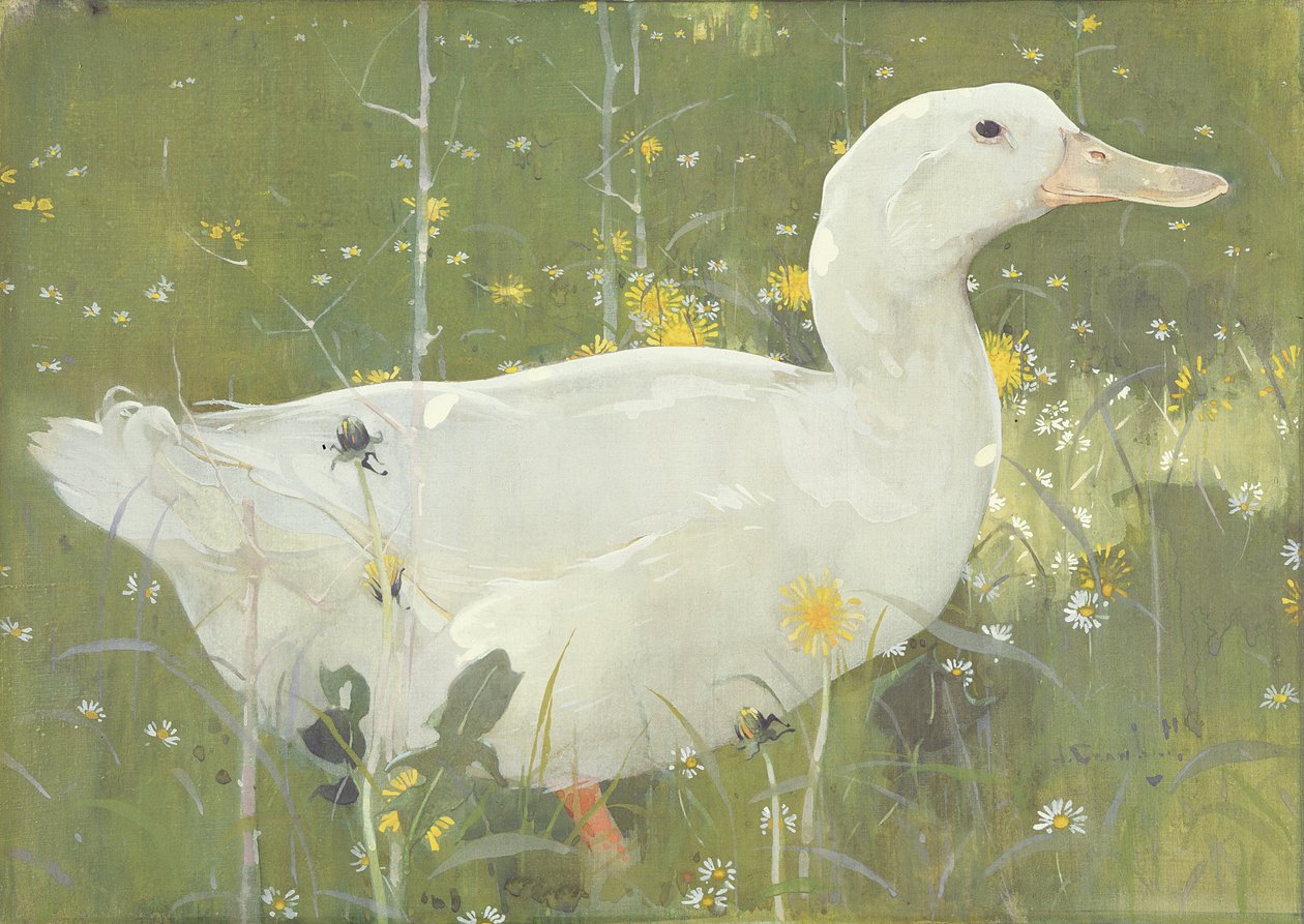 The White Drake (guache, vászon) alkotó: Joseph Crawhall