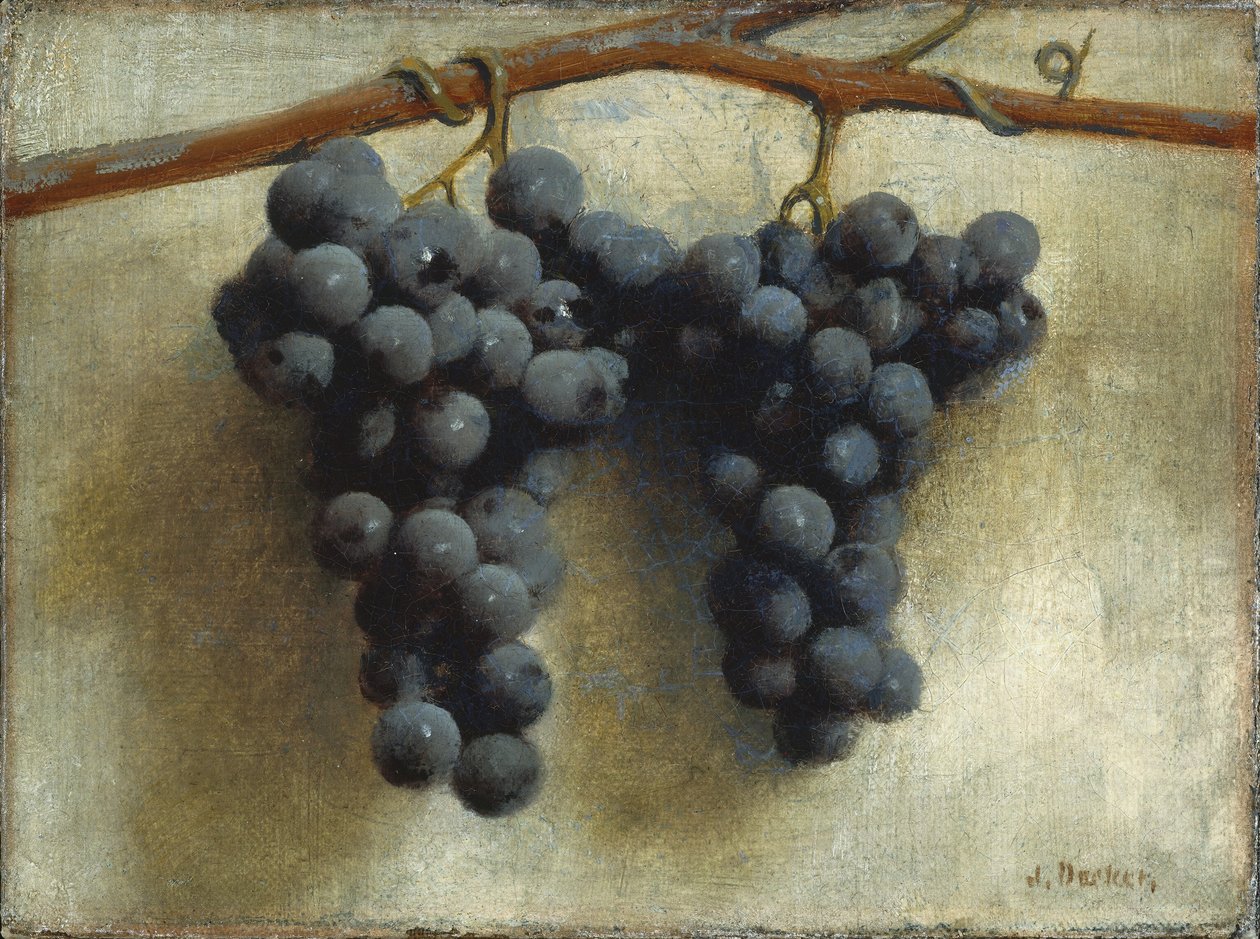 Szőlő alkotó: Joseph Decker
