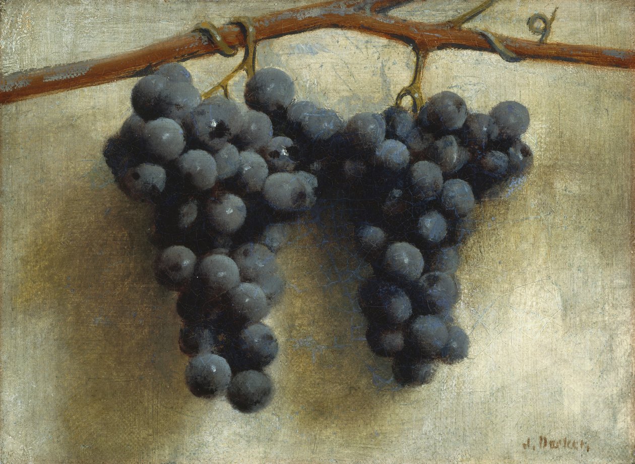Szőlő, 1890-1895 körül (olaj, vászon) alkotó: Joseph Decker