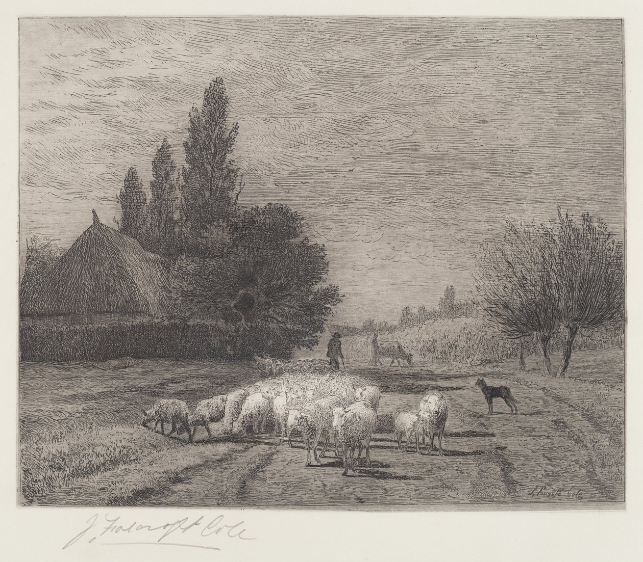 Village Street Franciaországban egy birkanyájjal alkotó: Joseph Foxcroft Cole