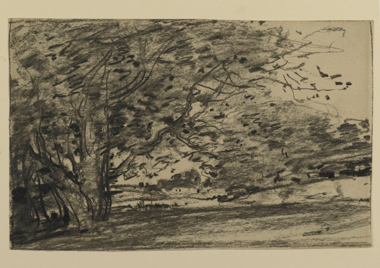 Study of Trees, 1870 (grafit papíron) alkotó: Joseph Frank Currier