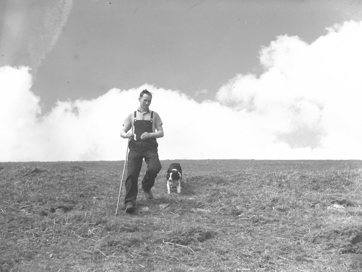 Egy férfi és juhászkutyája sétál Martindale-ben alkotó: Joseph Hardman