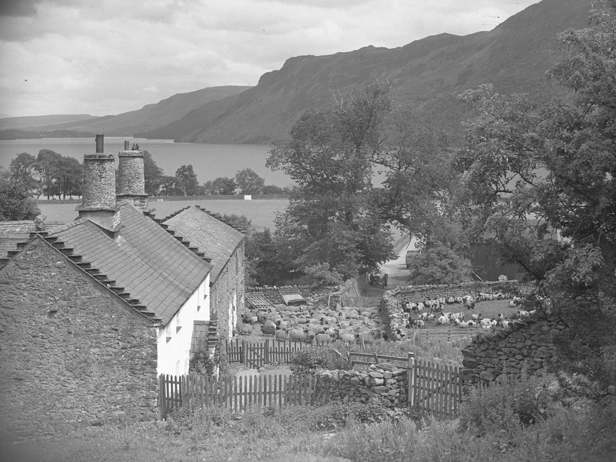 Gazdasági épületek juhokkal a tanyán és Ullswater a háttérben alkotó: Joseph Hardman