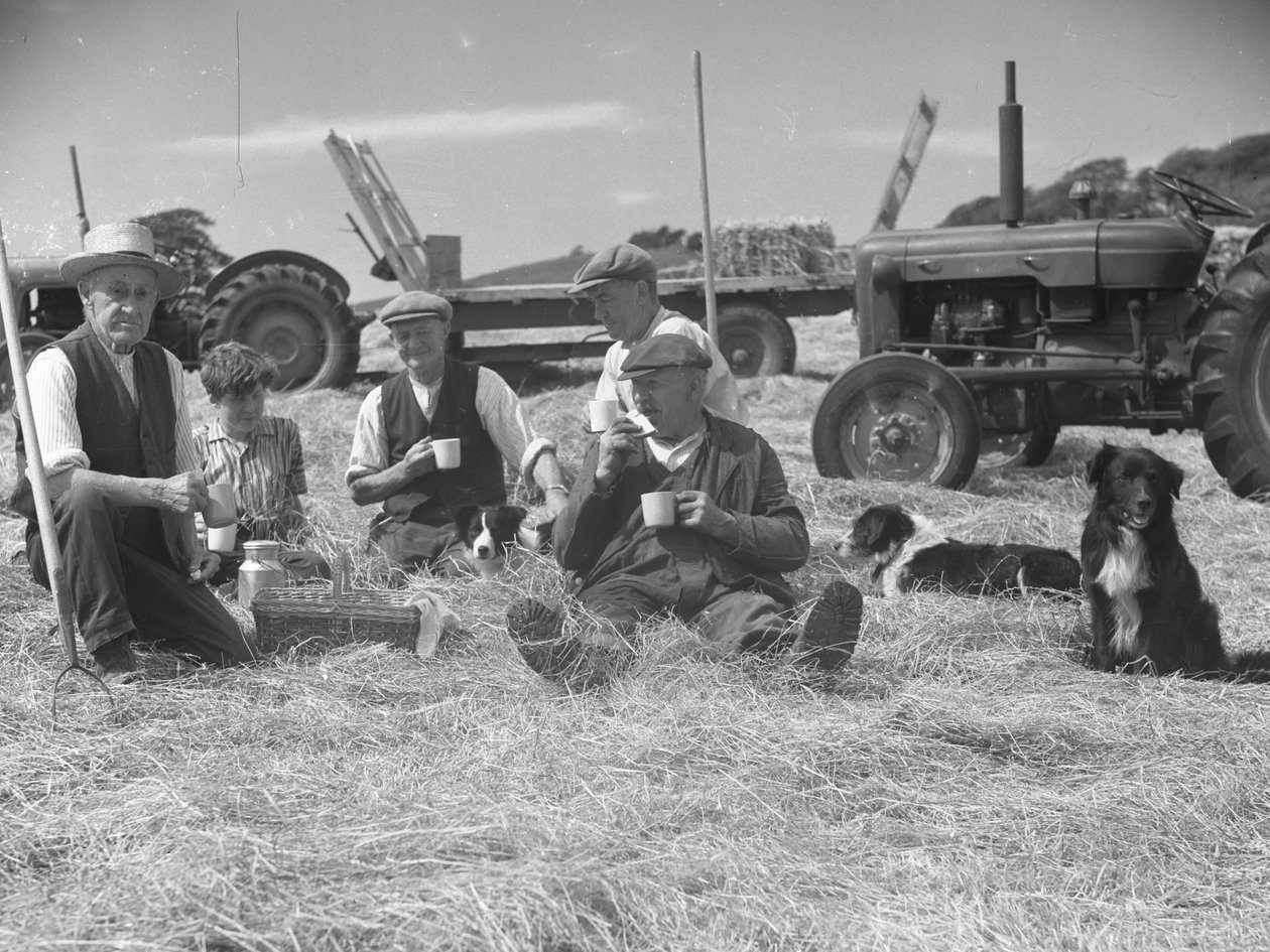 Mezőgazdasági dolgozók pihennek a szénamezőn kutyákkal és traktorokkal a háttérben alkotó: Joseph Hardman