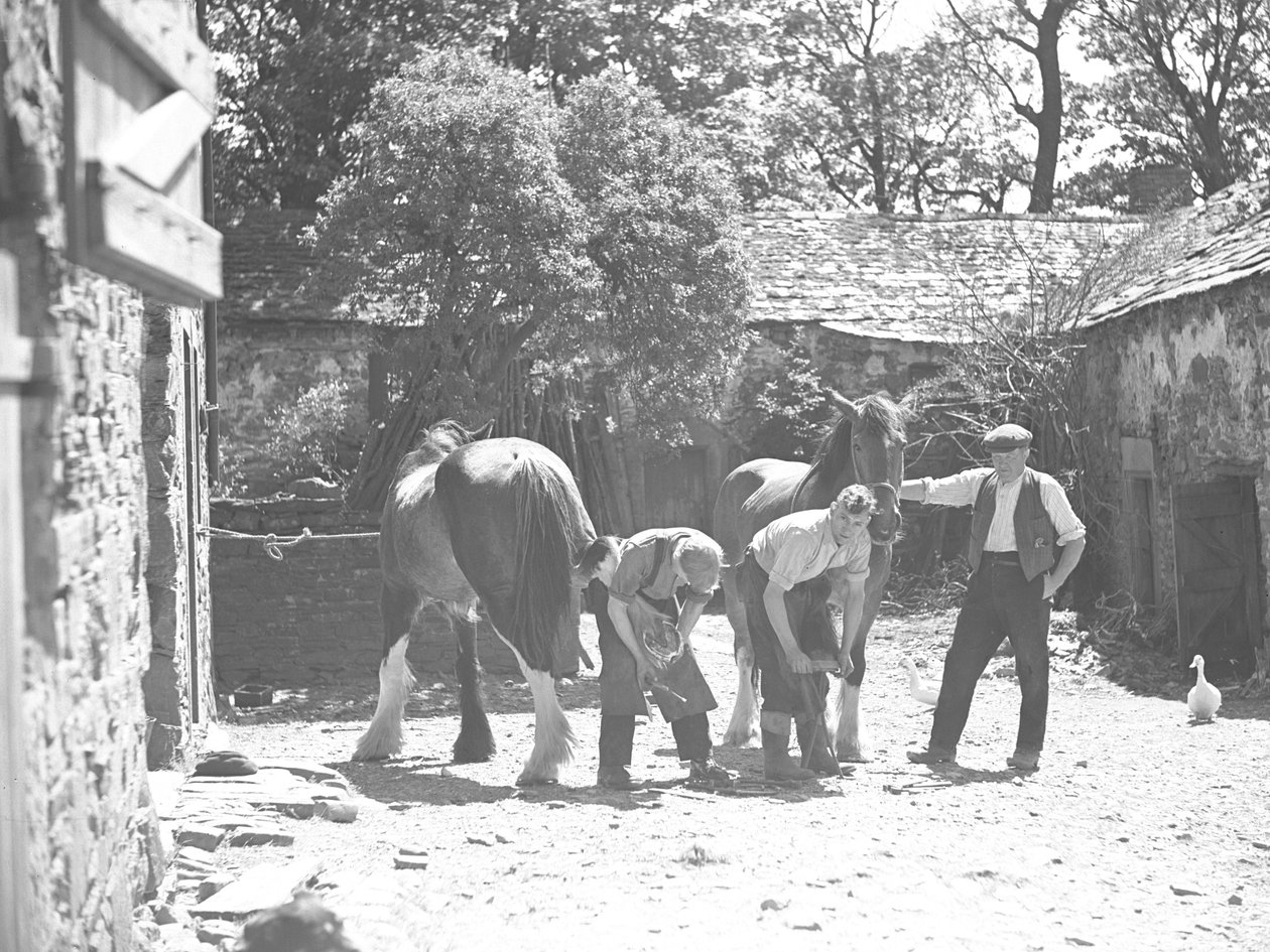 Patkolókovács patkolja a lovat alkotó: Joseph Hardman