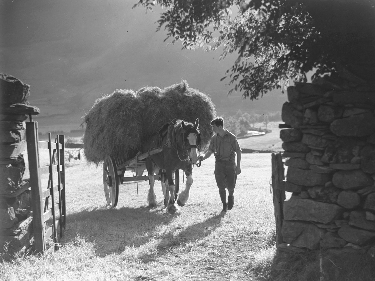 Ló húzza a megrakott szénakocsit a kapun keresztül alkotó: Joseph Hardman
