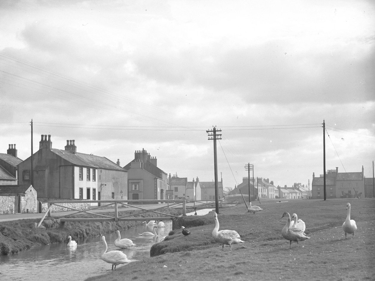 Allonby utcája hattyúkkal és patakkal alkotó: Joseph Hardman