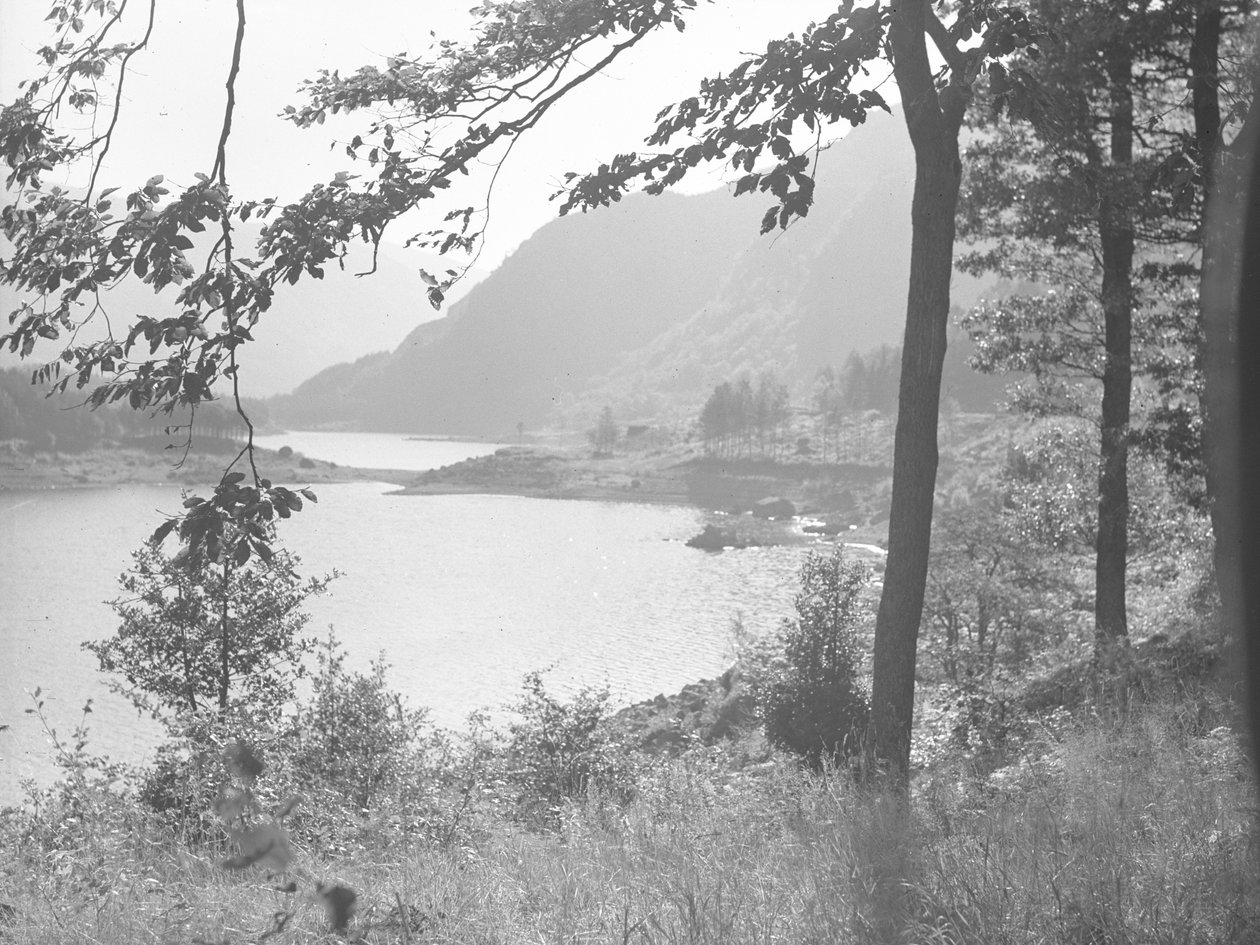 Thirlmere a faágakon keresztül alkotó: Joseph Hardman