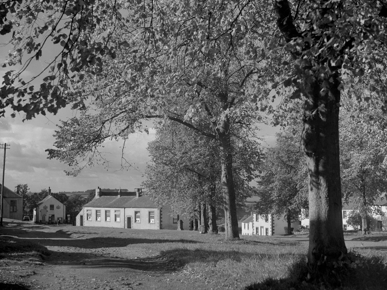 Lombos fák és a falu épületeinek látványa alkotó: Joseph Hardman