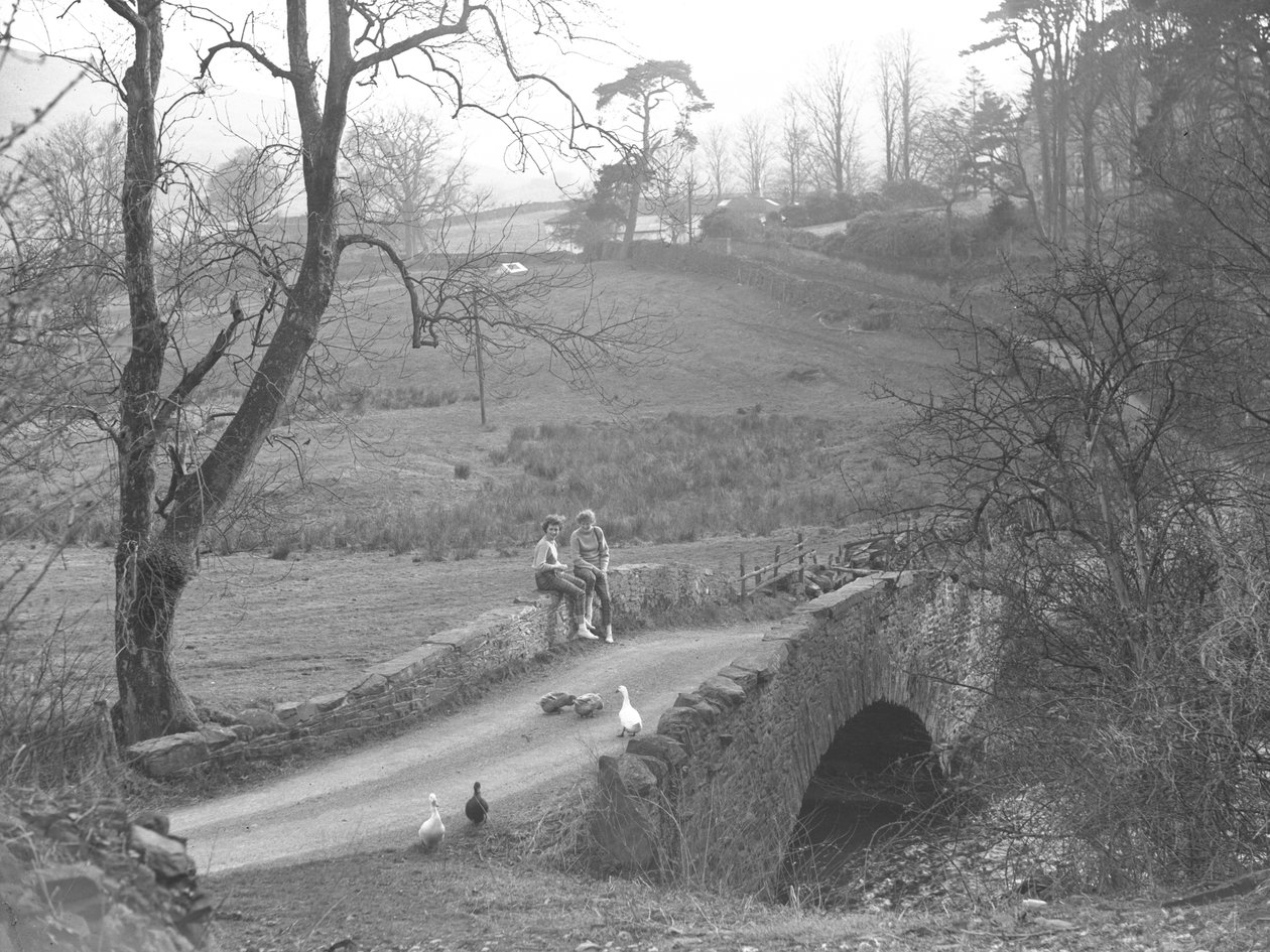 Két lány ül a Cocker folyó felett átívelő kőhídon a Scale Hill alján, miközben a ludakat figyelik a Loweswater-i sávban. alkotó: Joseph Hardman