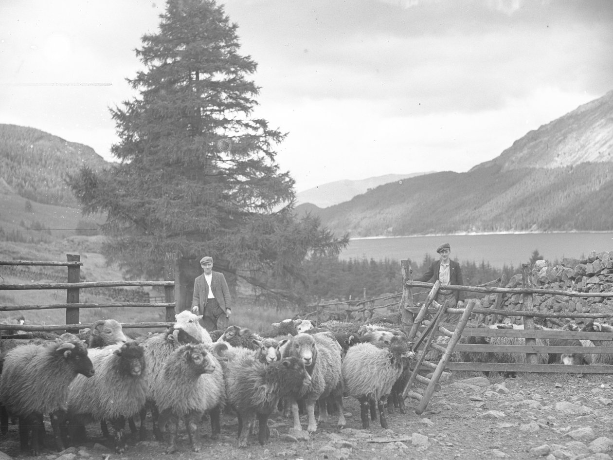 Két pásztor egy nyáj juhokkal és Thirlmere mögötte alkotó: Joseph Hardman