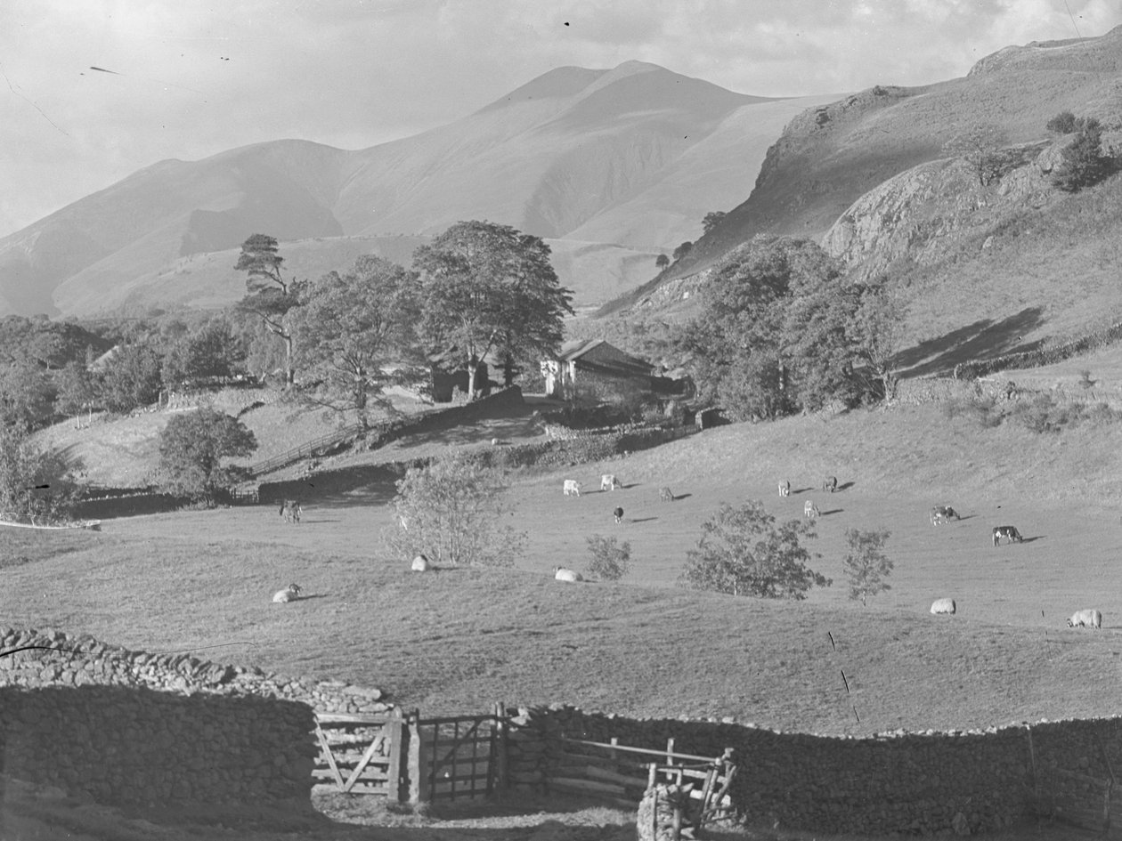 Kilátás a mezőkre, a Thirlmere-i farmra, birkákkal és tehenekkel alkotó: Joseph Hardman