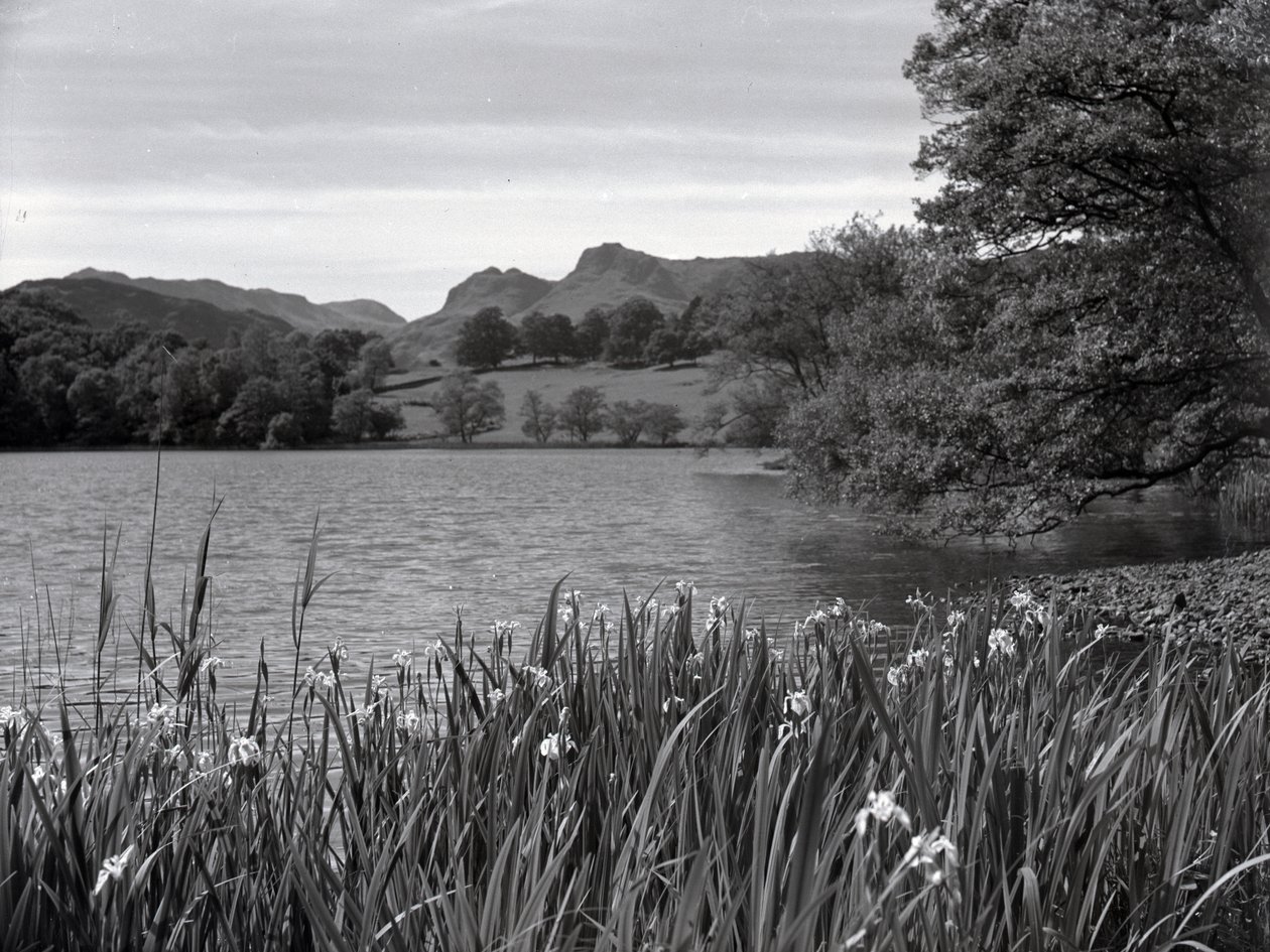 Kilátás a Loughrigg Tarnra nézve alkotó: Joseph Hardman