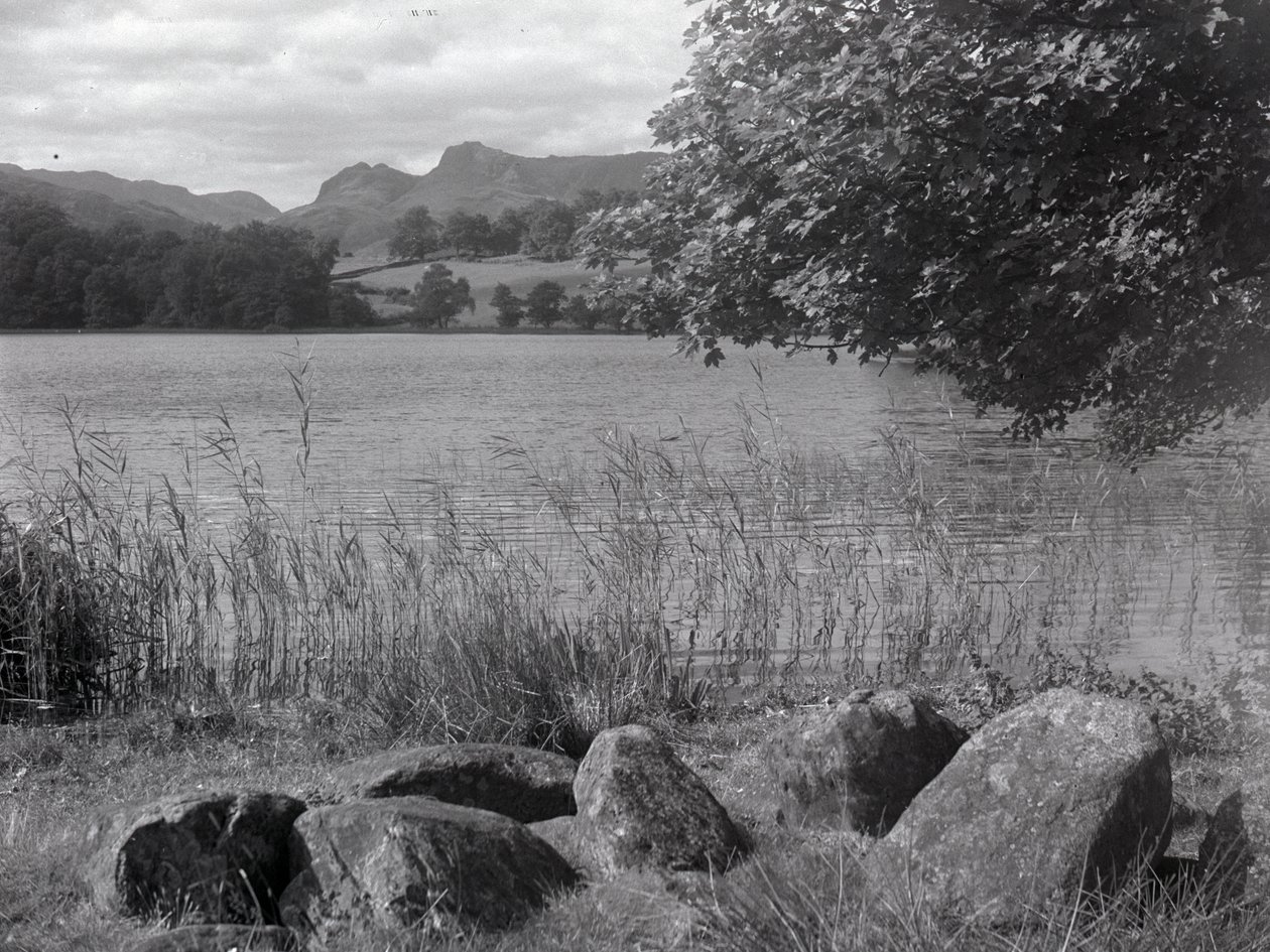 Kilátás a Loughrigg Tarnra, az előtérben néhány kő a földbe ágyazva. alkotó: Joseph Hardman