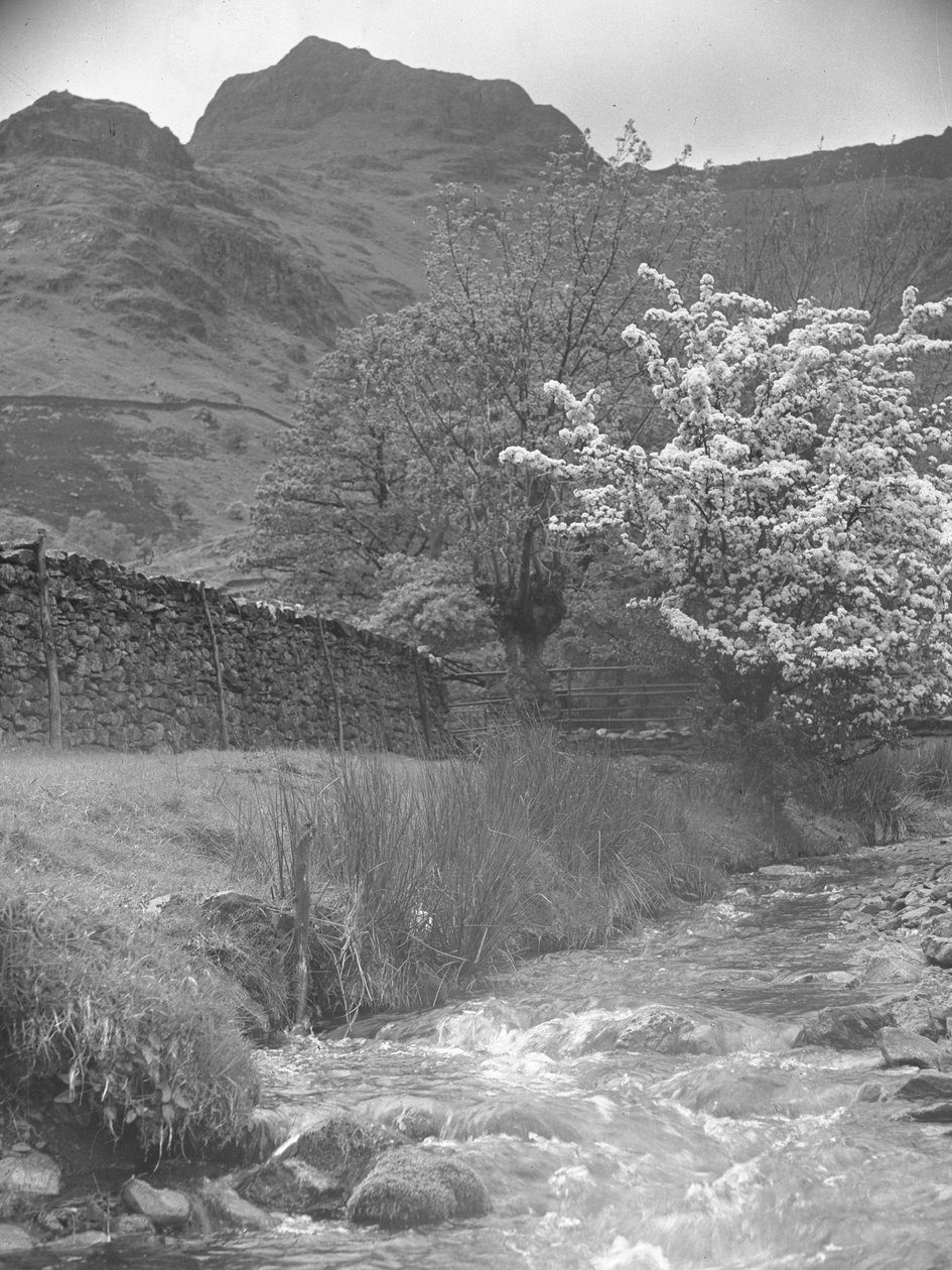 Kilátás a hegyi patakra, virágzó fával az előtérben és Langdale Pikes a háttérben alkotó: Joseph Hardman