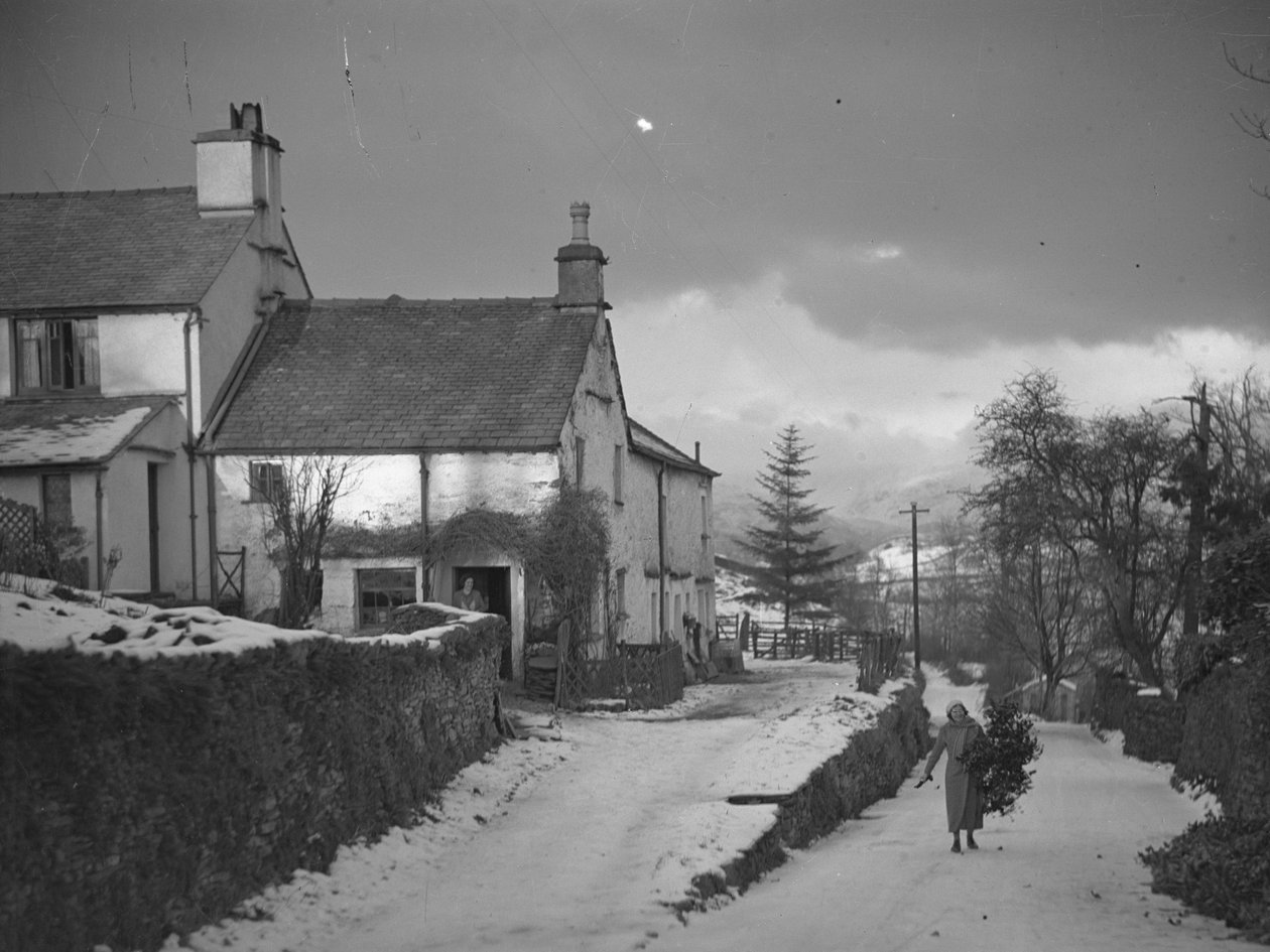 Nő ágat cipel az úton a Hawkshead-i Borwick Fold Farm mellett a hóban alkotó: Joseph Hardman
