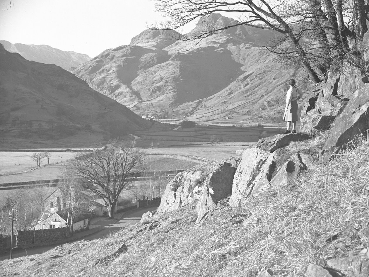 Nő áll a sziklákon egy fa alatt, és nézi a Langdale Fells kilátását alkotó: Joseph Hardman