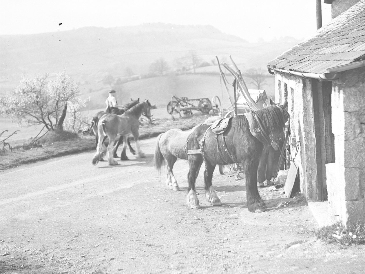 Munkalovak a Crostwaite-i kovácsműhely előtt alkotó: Joseph Hardman