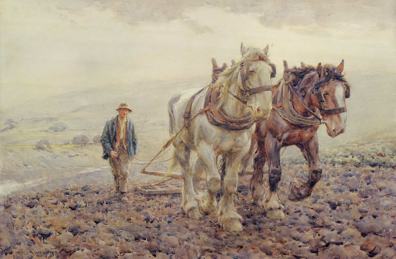 Harrowing a South Downs-on, Wilmington közelében, Sussexben, alkotó: Joseph Harold Swanwick