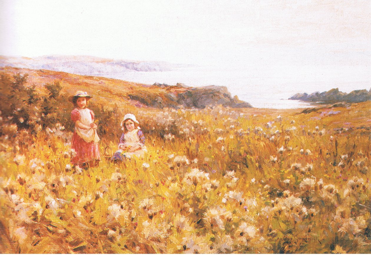 Boglárkák szedése, folyóiratból vagy könyvből ismeretlen forrásból alkotó: Joseph Harold Swanwick