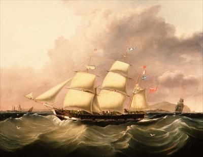 A Barque 