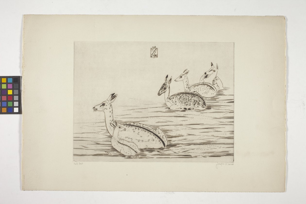Cerfs Indochinois I (indokínai szarvas I) (metszet krémszínű szőtt papírra) alkotó: Joseph Hecht