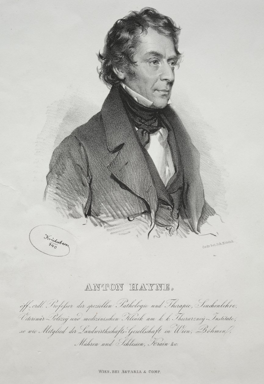 Dr. Anton Hayne portréja alkotó: Joseph Kriehuber