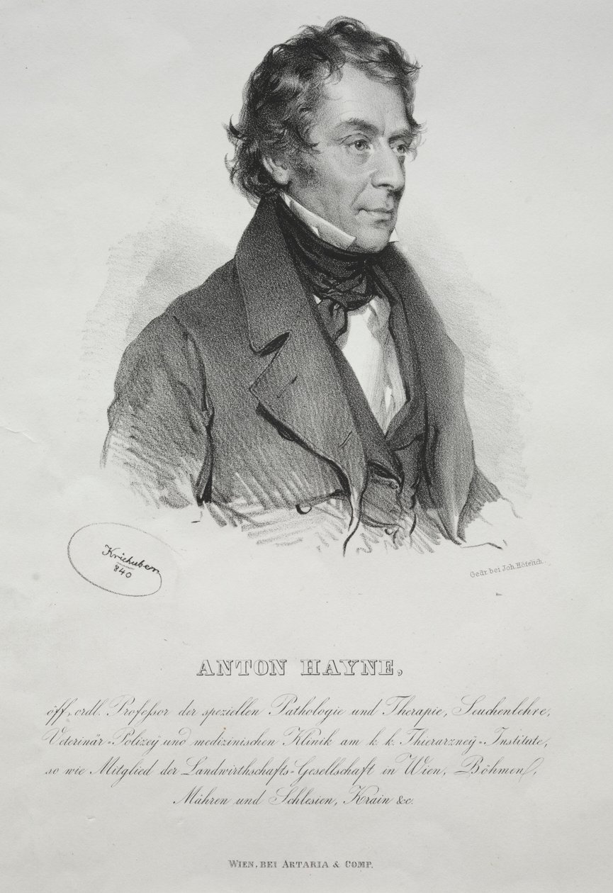 Dr. Anton Hayne portréja, 1840. alkotó: Joseph Kriehuber