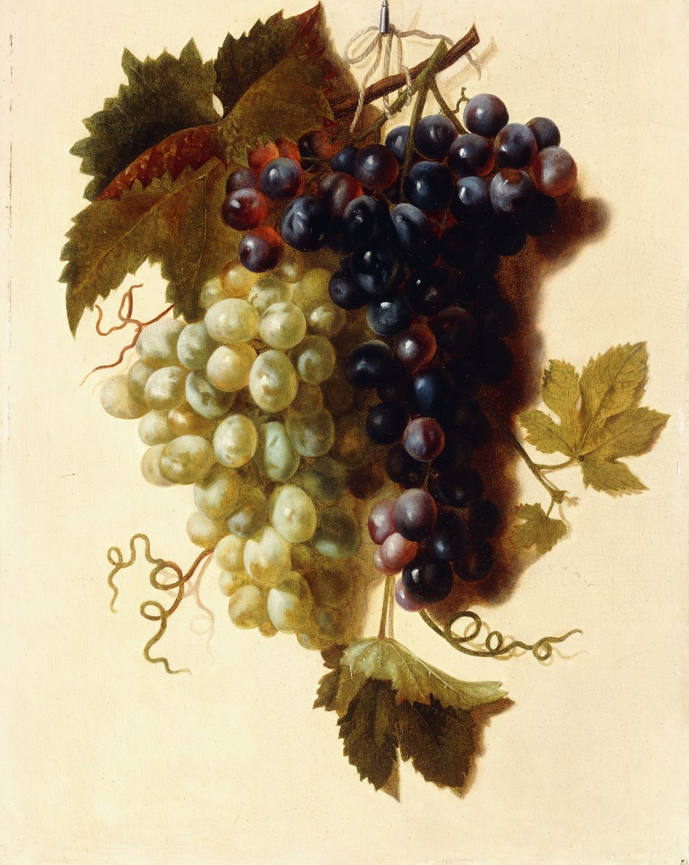 Zöld és vörös szőlőfürtök egy kötélen felfüggesztve, 1796 körül alkotó: Joseph Laurent Malaine
