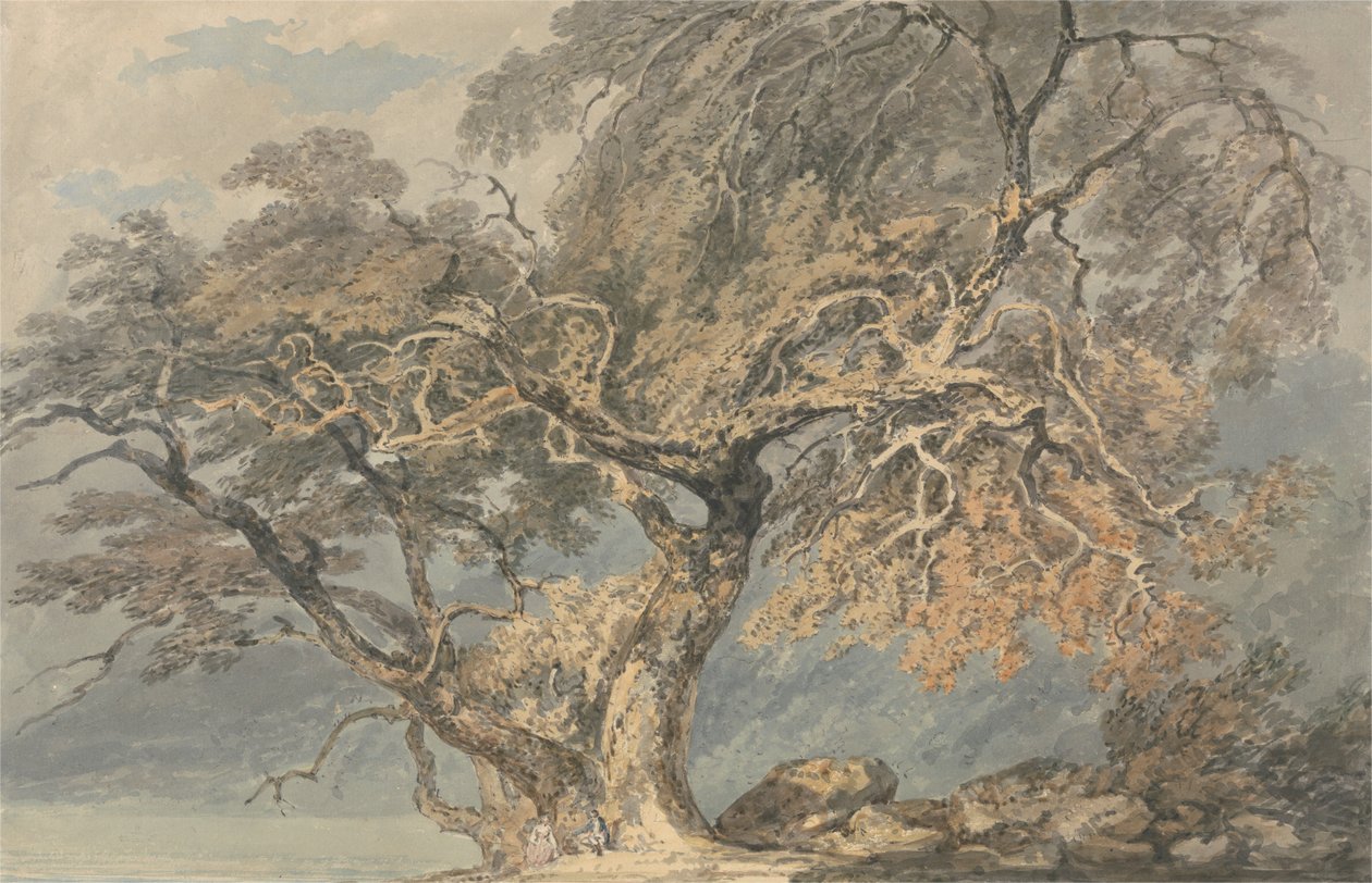Egy nagy fa alkotó: Joseph Mallord William Turner