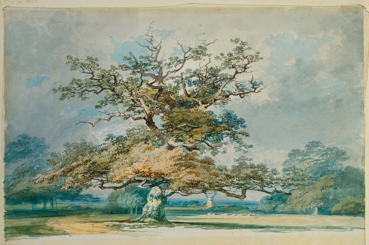 Táj egy öreg tölgyfával alkotó: Joseph Mallord William Turner