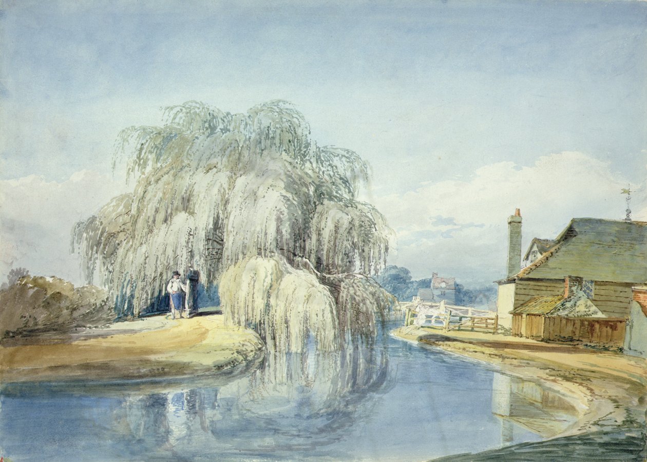 Egy síró fűz (akvarell papíron) alkotó: Joseph Mallord William Turner