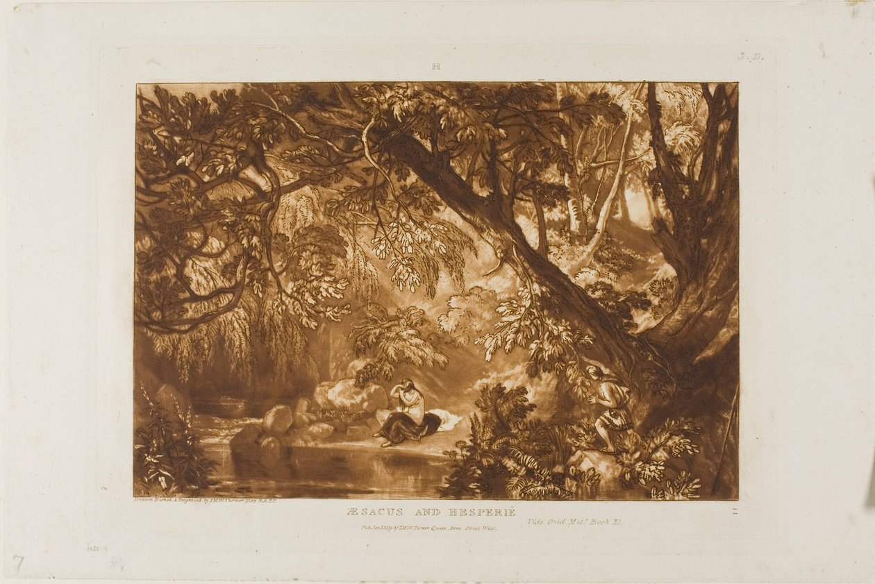 Aesacus és Hesperia, 66. lemez a Tanulmányok Könyvéből alkotó: Joseph Mallord William Turner