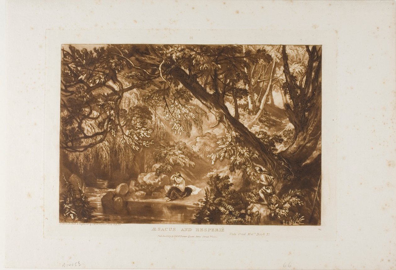 Aesacus és Hesperia, 66. lemez a Tanulmányok Könyvéből alkotó: Joseph Mallord William Turner