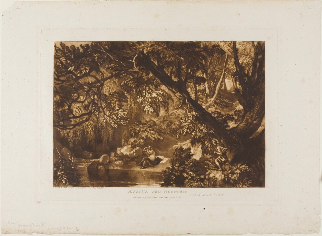 Aesacus és Hesperia, 66. lemez a Tanulmányok Könyvéből alkotó: Joseph Mallord William Turner