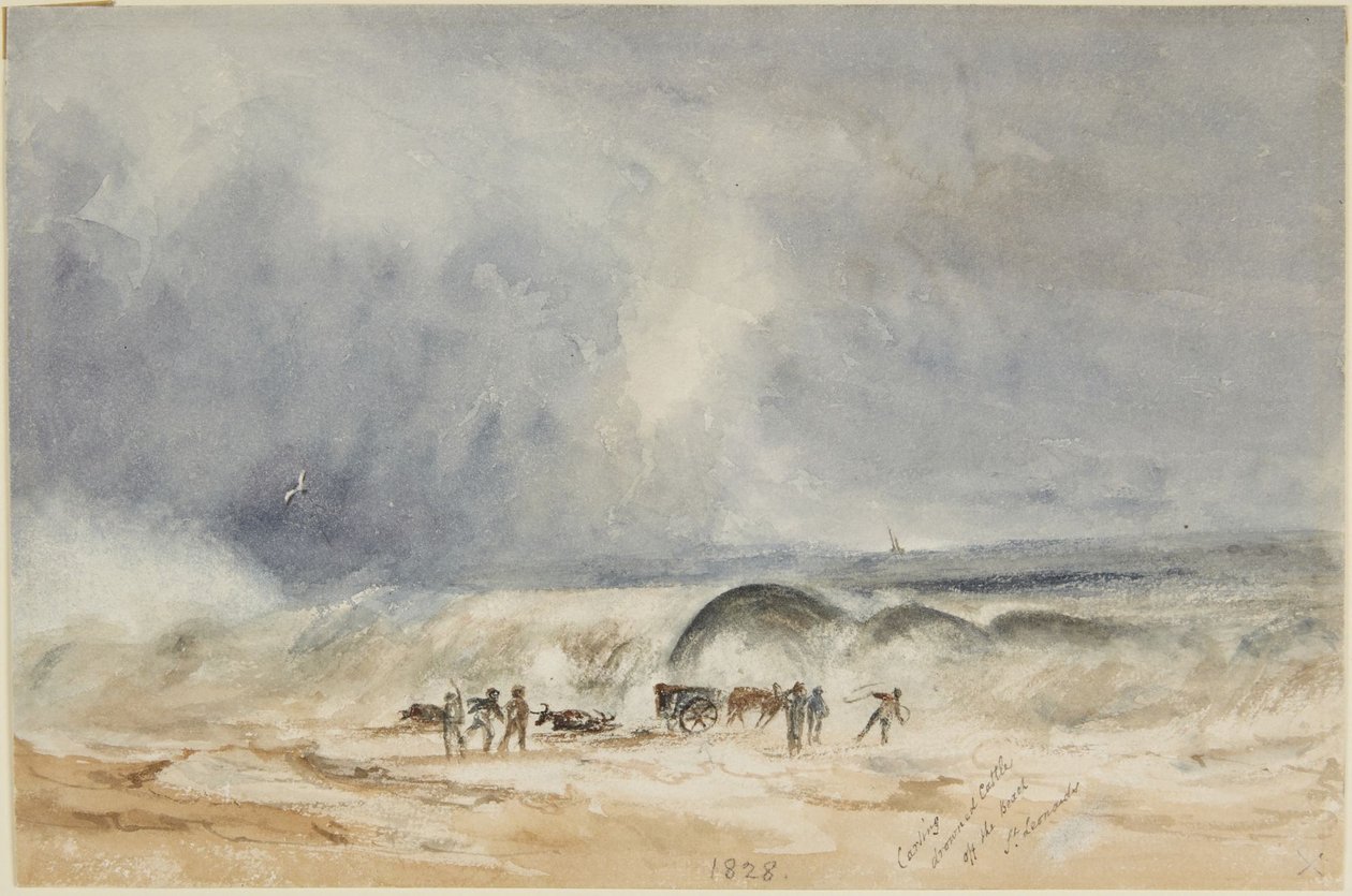 A partról elszállították a vízbe fulladt szarvasmarhákat, St. Leonards alkotó: Joseph Mallord William Turner