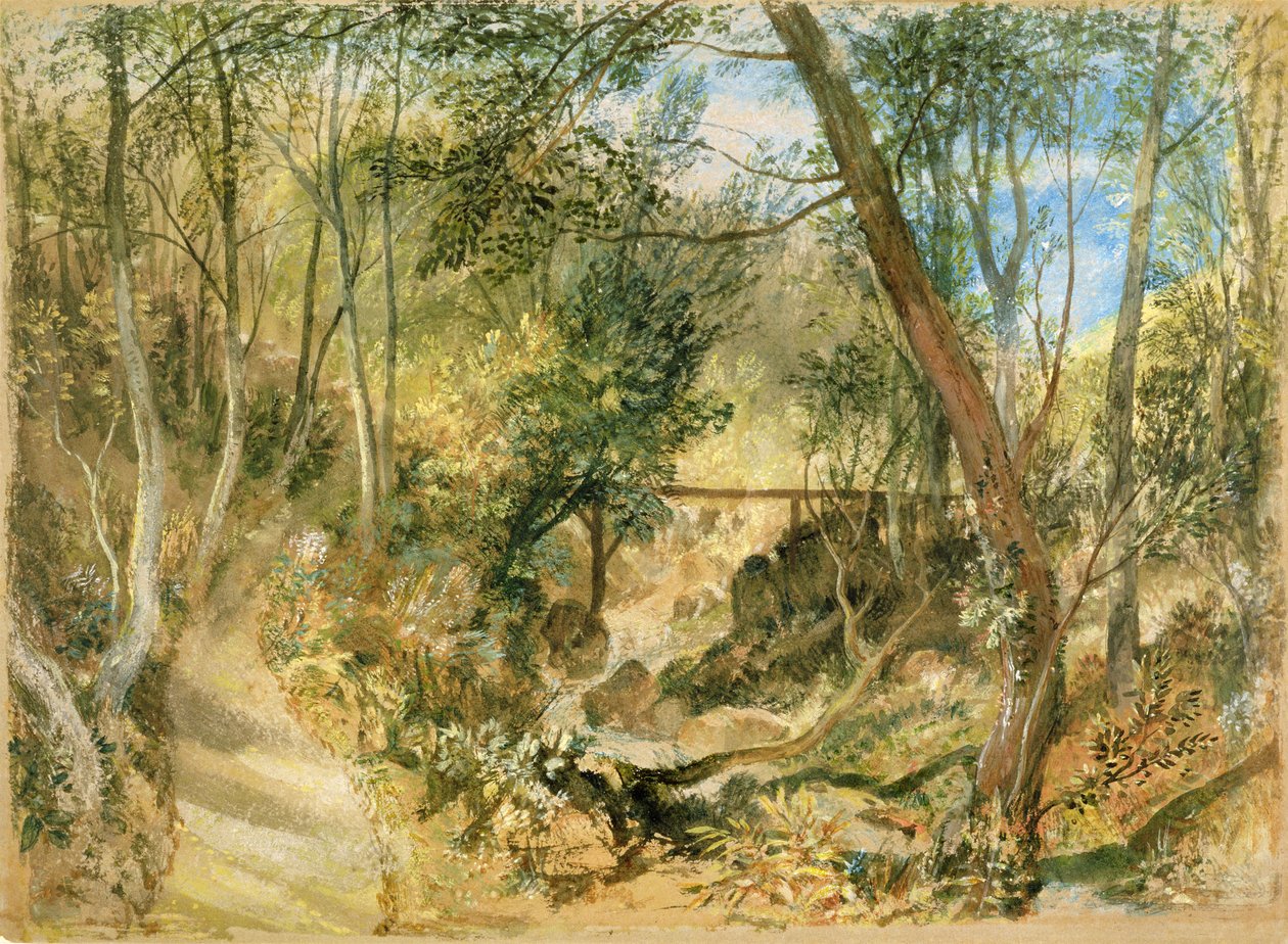 PD.50-1958 The Woodwalk, Farnley Hall, 1818 körül (wc és gouache) alkotó: Joseph Mallord William Turner