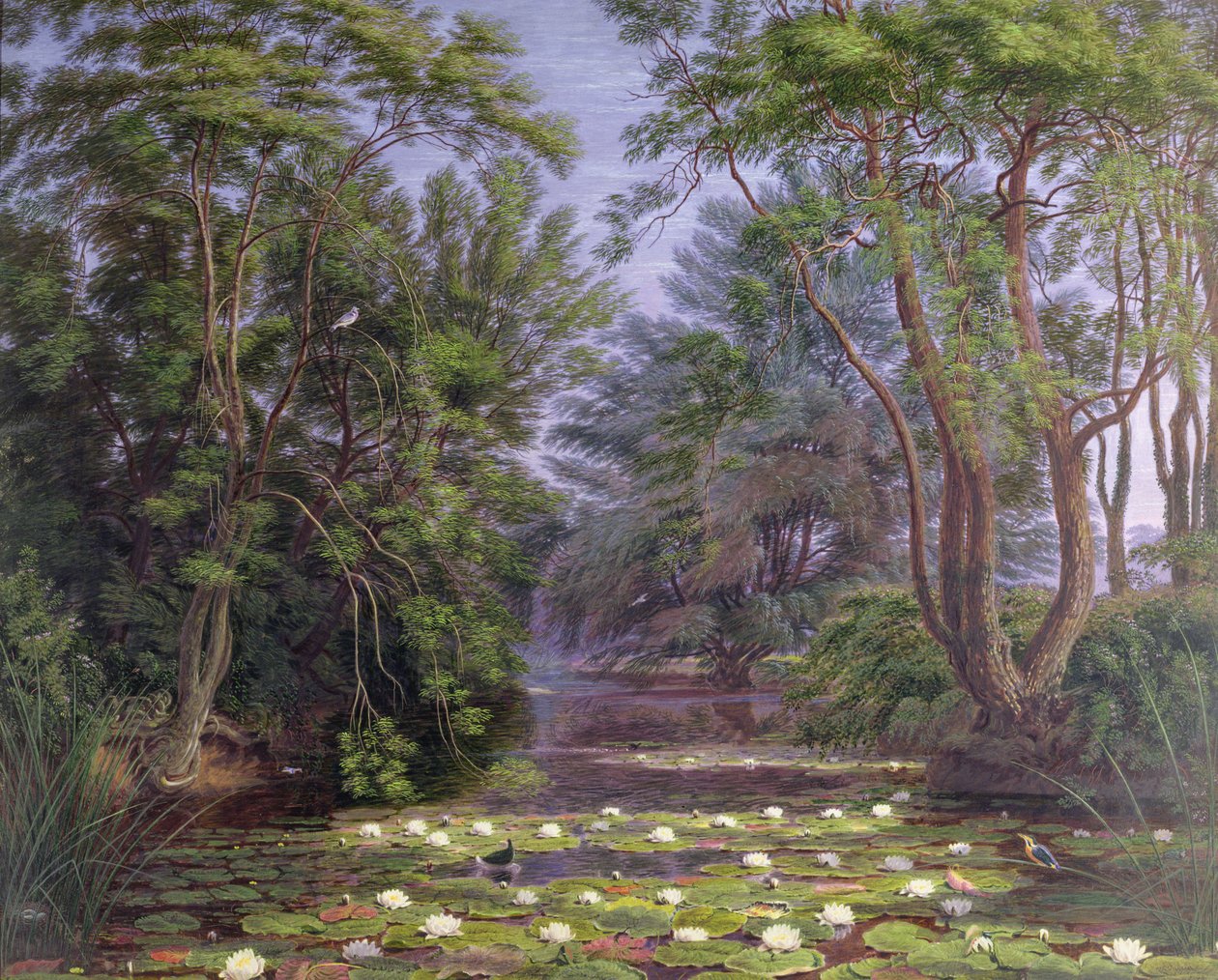 Cherwell folyó vízililiom, 1851 alkotó: Joseph Mallord William Turner