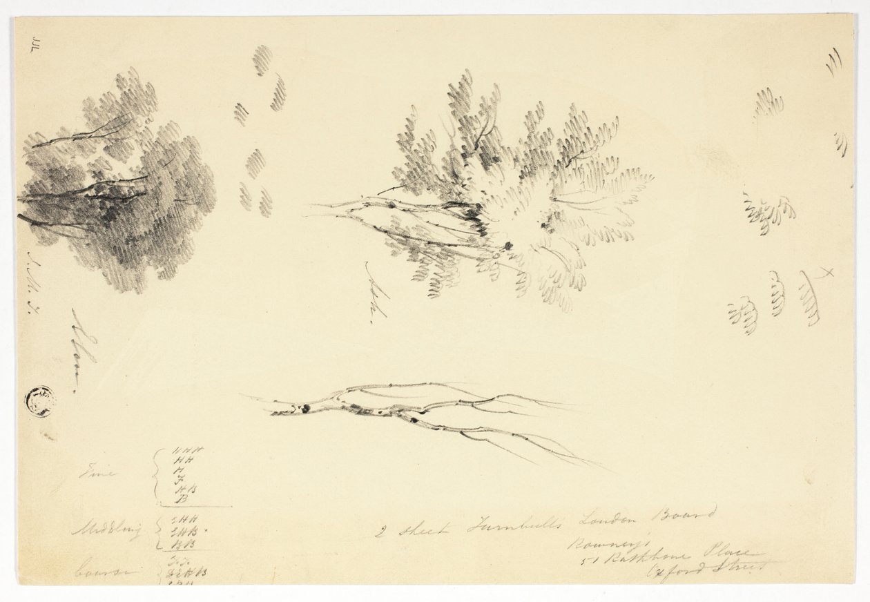 Vázlatok szil- és kőrisfákról alkotó: Joseph Mallord William Turner
