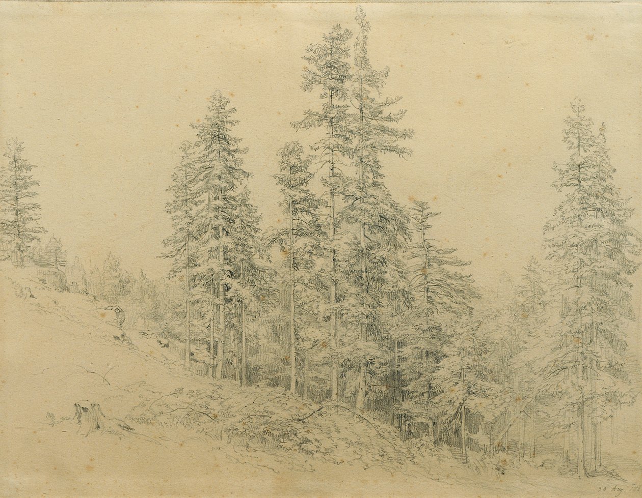 Drága fog alkotó: Joseph Martin Höger
