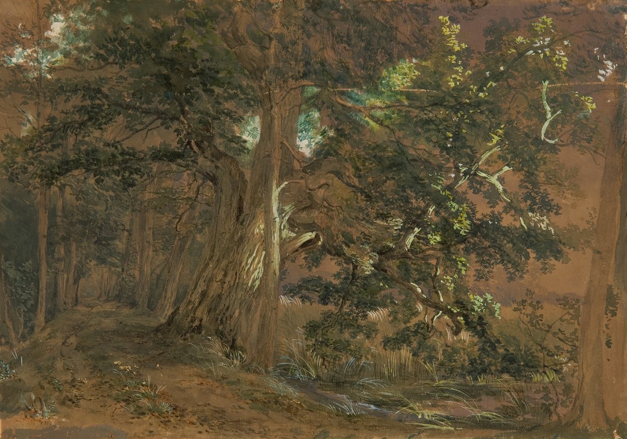 Erdő belseje Lundenburg közelében (juharcsoport egy hegyi tónál) alkotó: Joseph Martin Höger