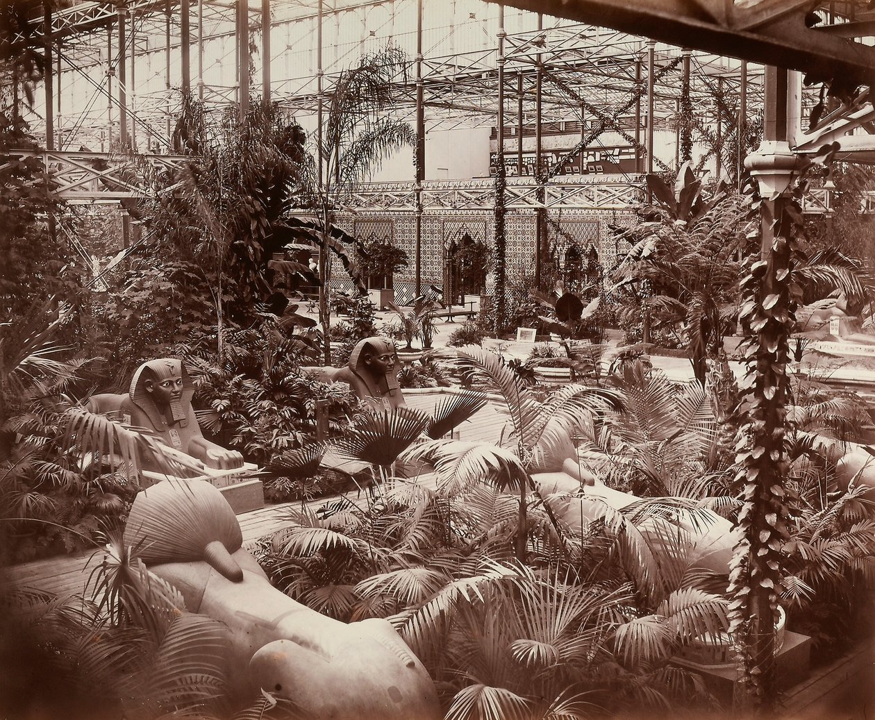A londoni Kristálypalota: trópusi szakasz, 1870 körül (f/w fotó) alkotó: Joseph Paxton