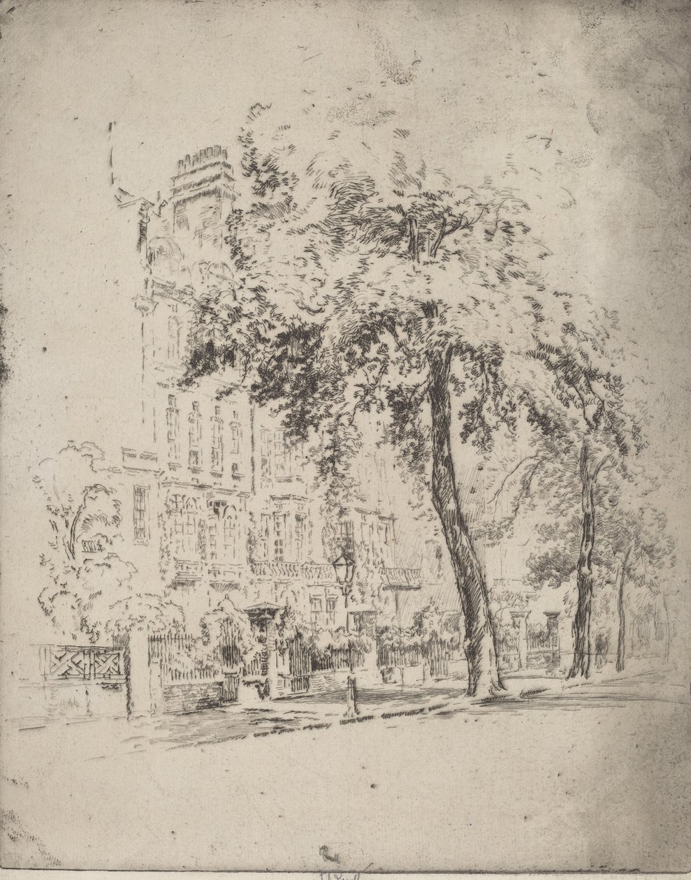 Big Tree, Cheyne Walk, 1906. alkotó: Joseph Pennell